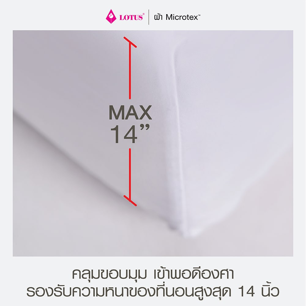 infobedsheet7