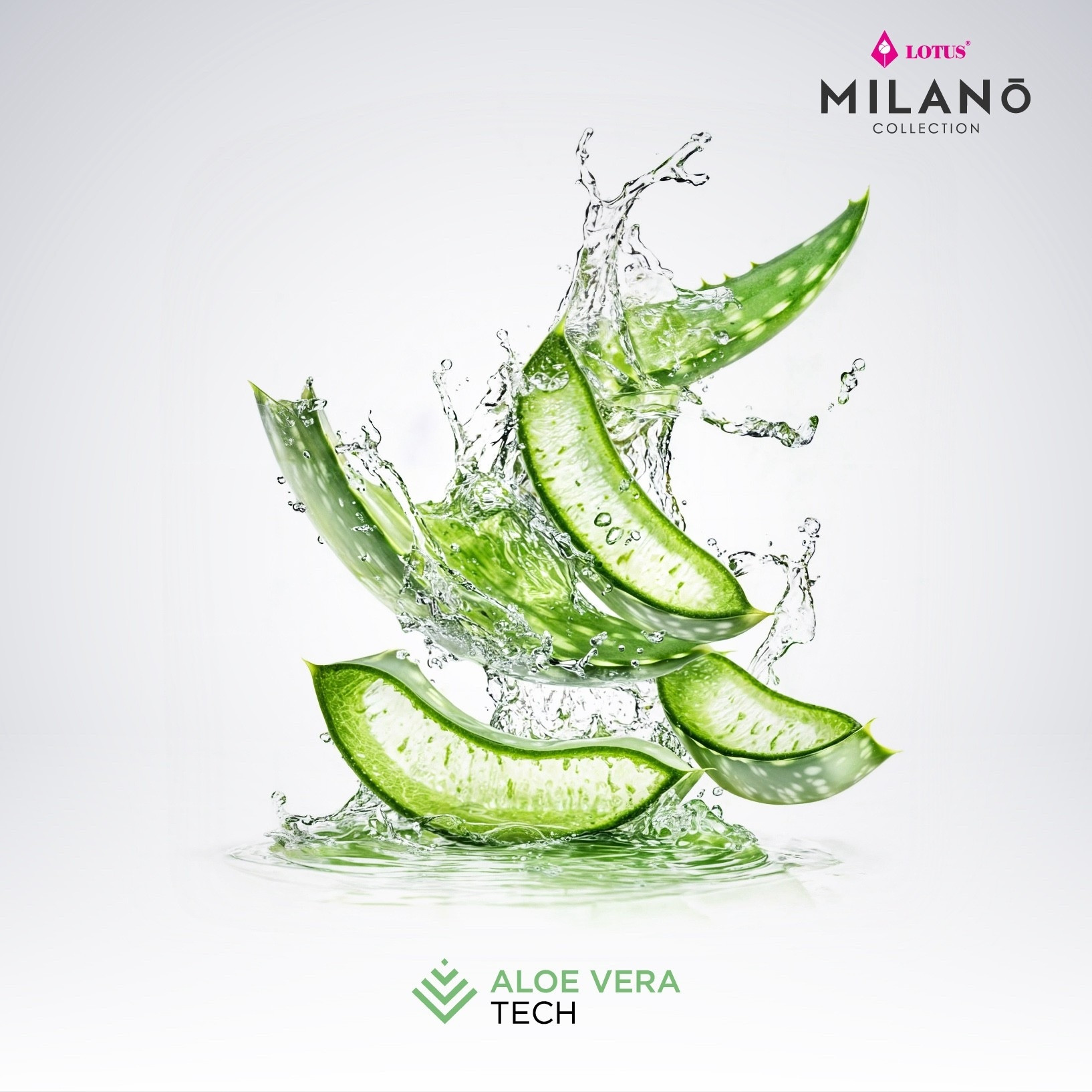 milano-attitude-info-icetech-02