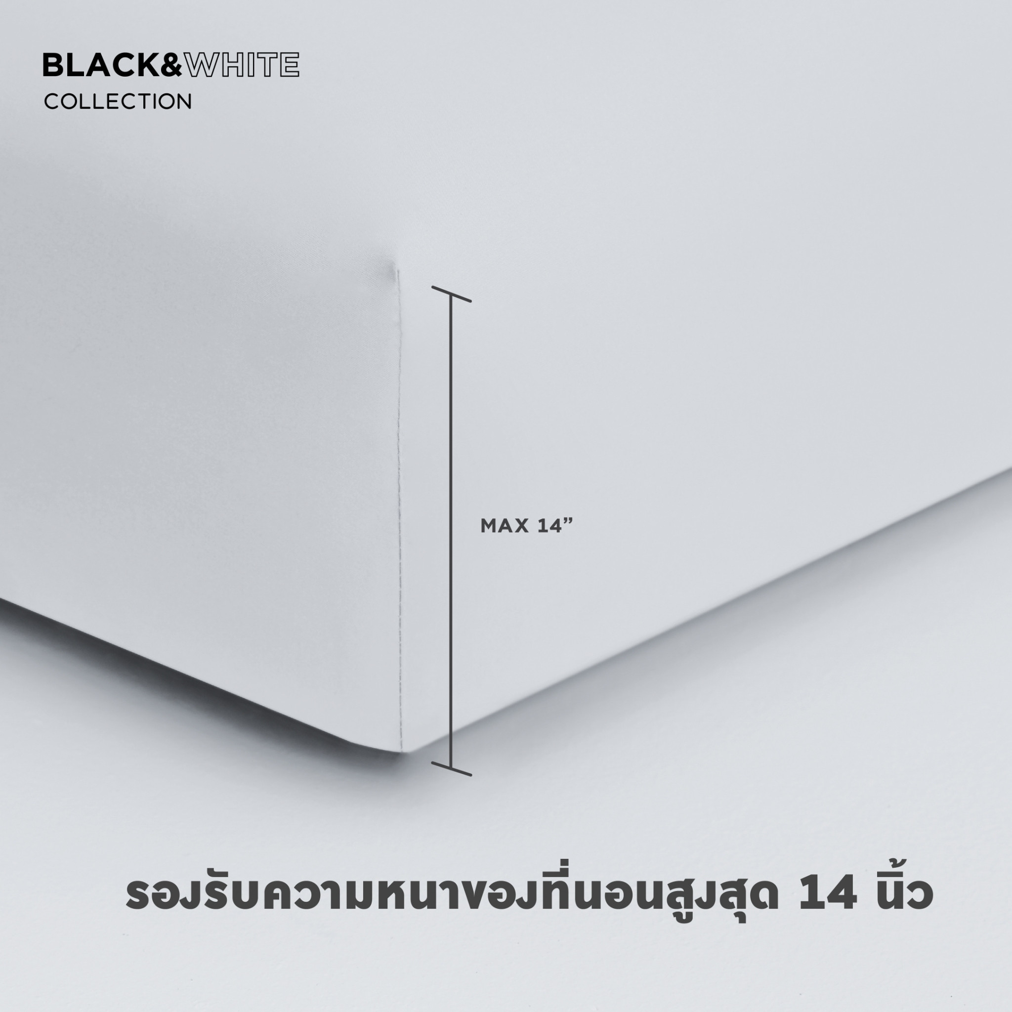 line-album-info-black-white-07