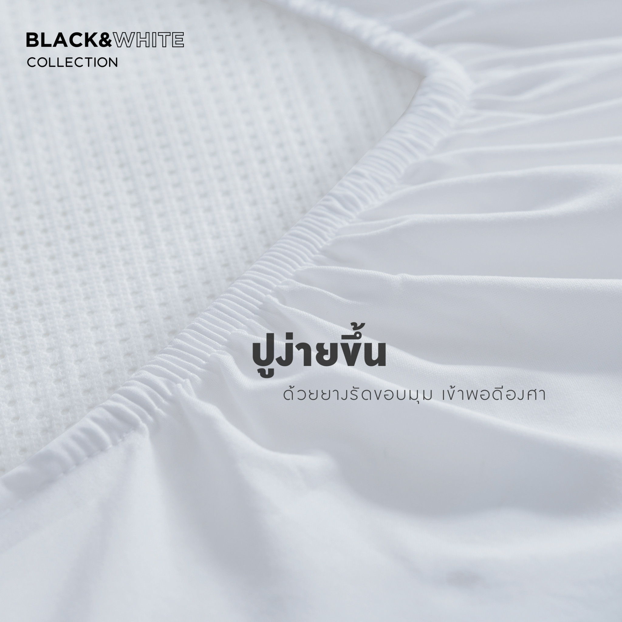 line-album-info-black-white-08