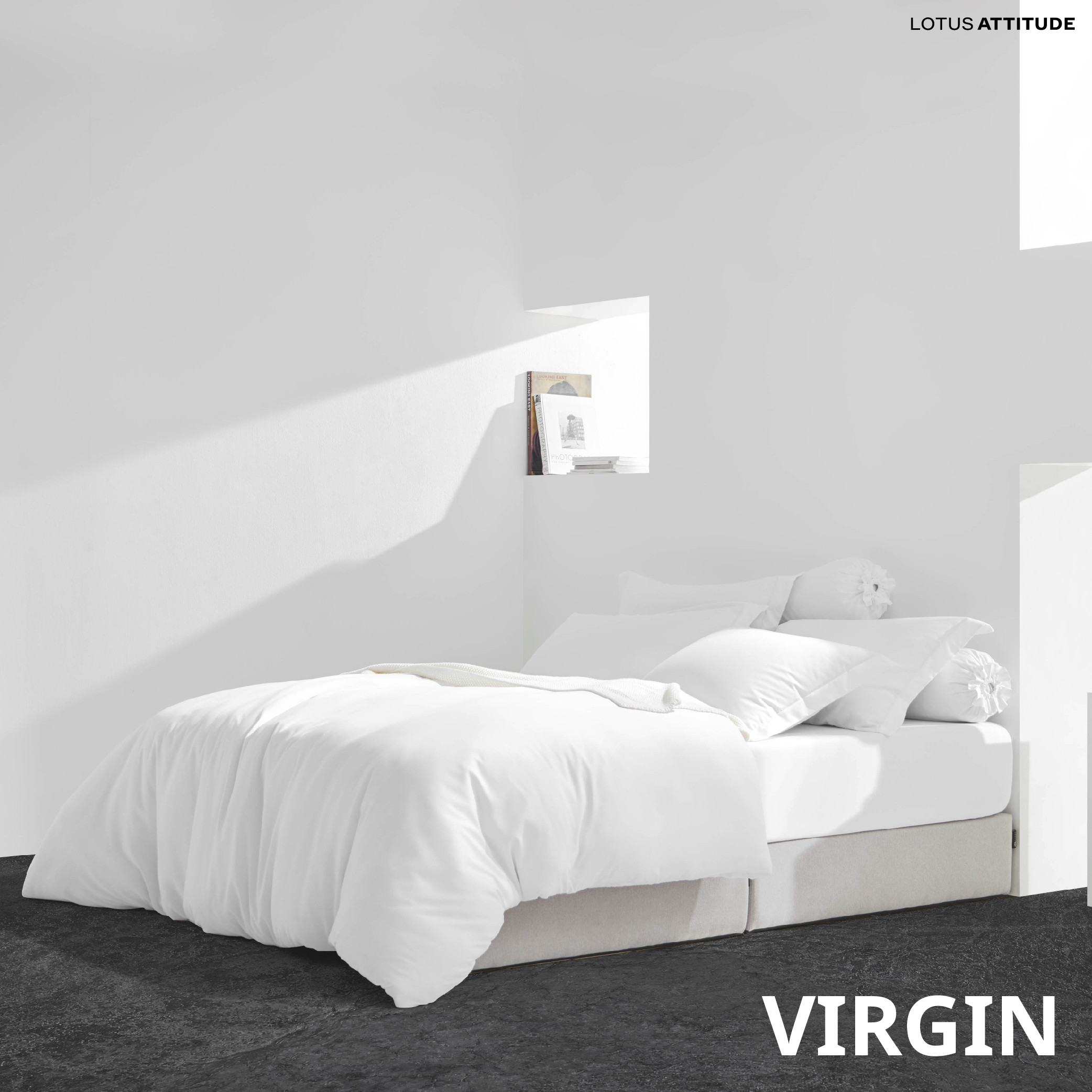 23-2024-info-norden-eng-info-virgin