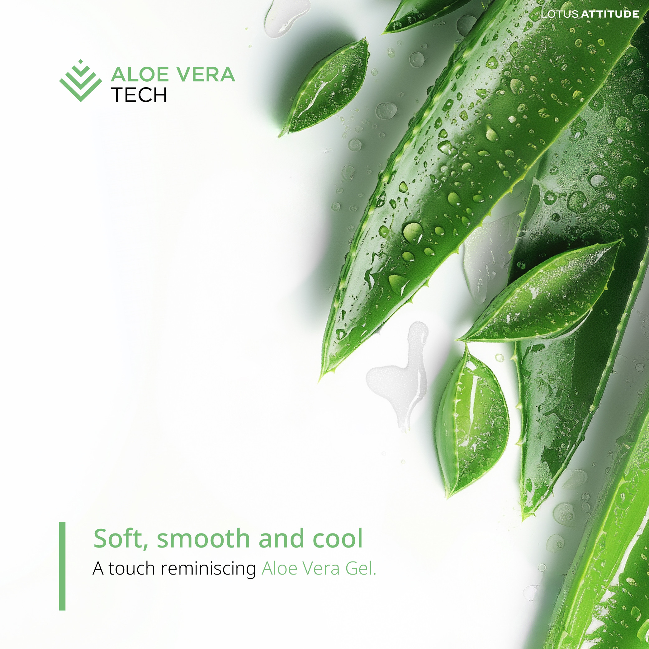 03-2024-info-norden-eng-info-aloevera