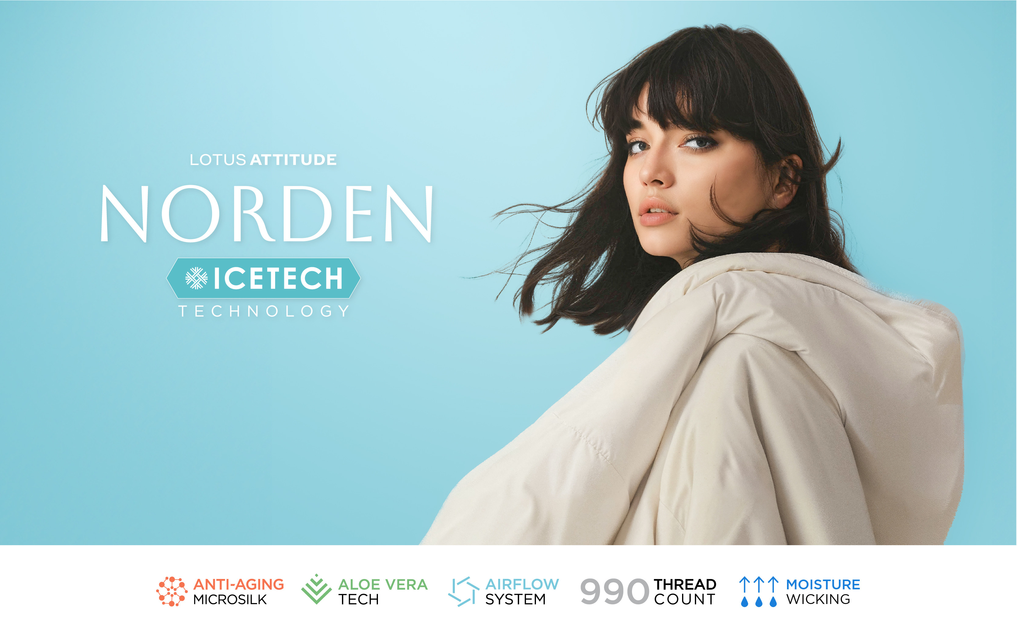 2024-info-norden-eng-cover-1600x1000