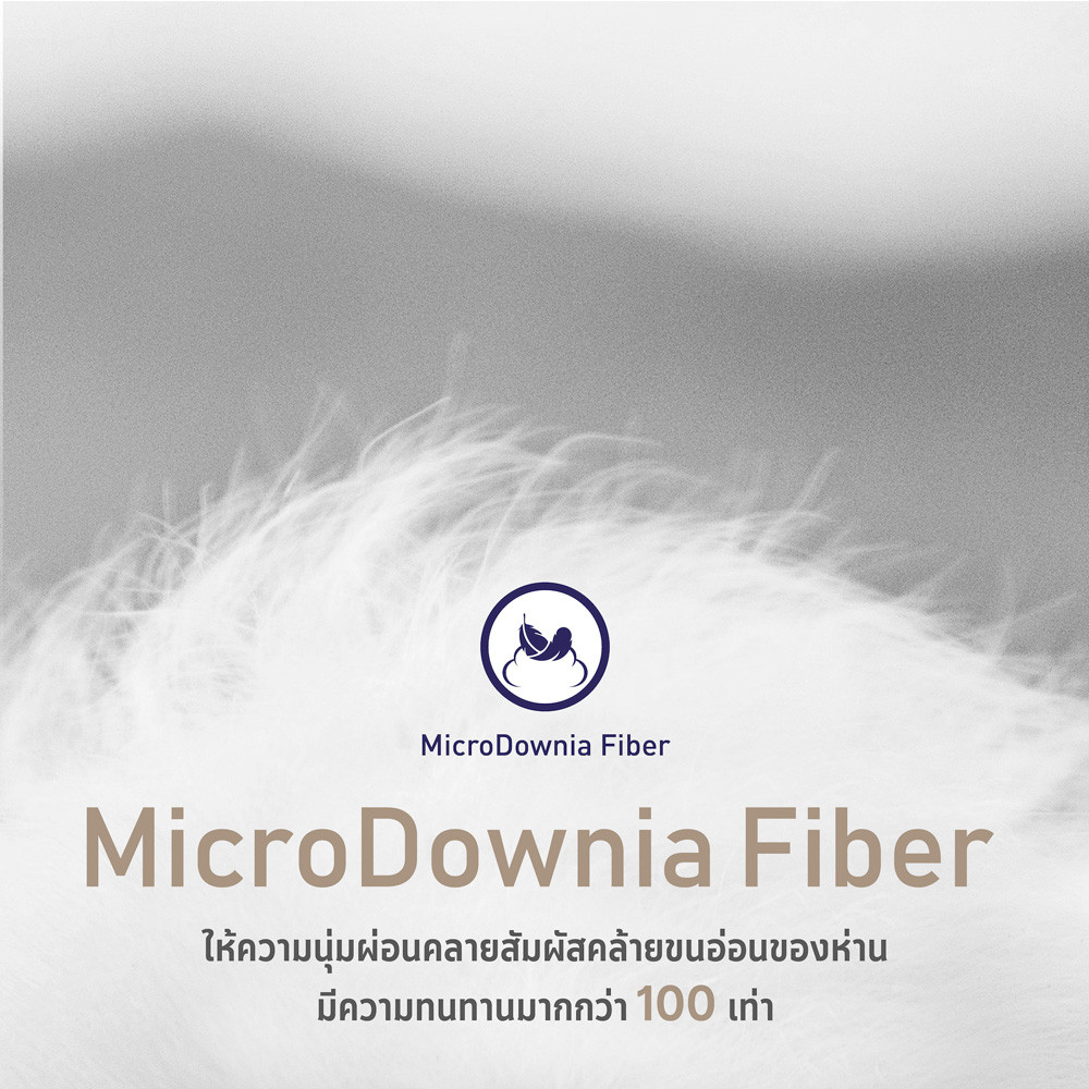 microdownia-info-04