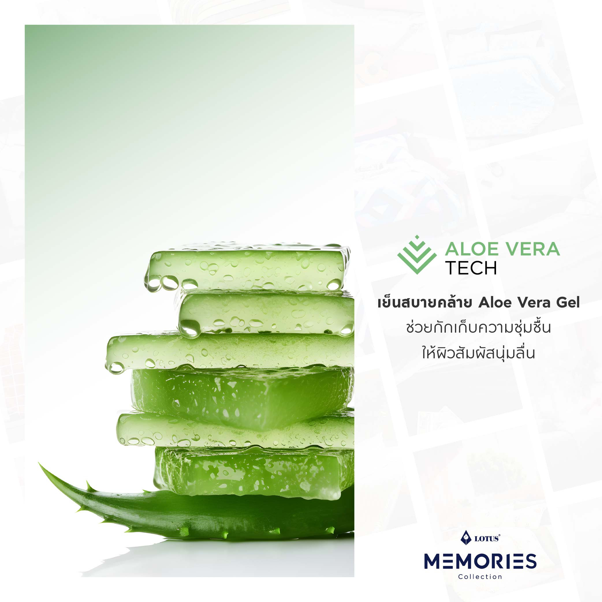 lotus-bedding-memory-info-artboard-2