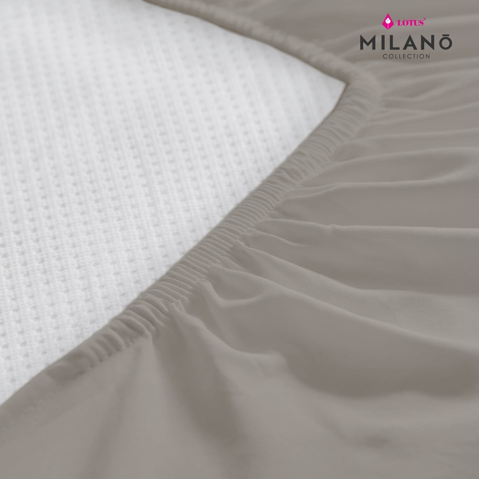 milano-attitude-info-icetech-11