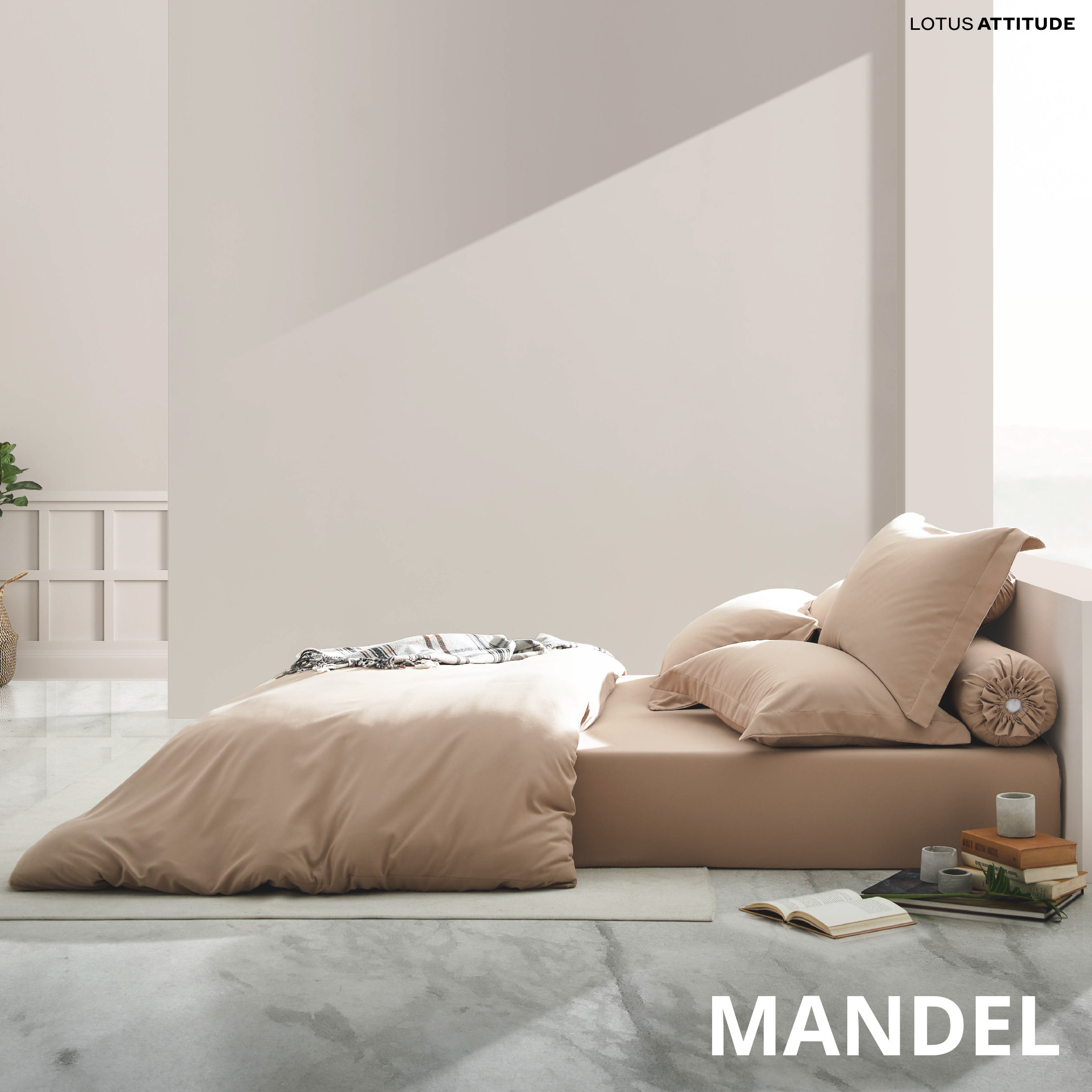 22-2024-info-norden-eng-info-mandel