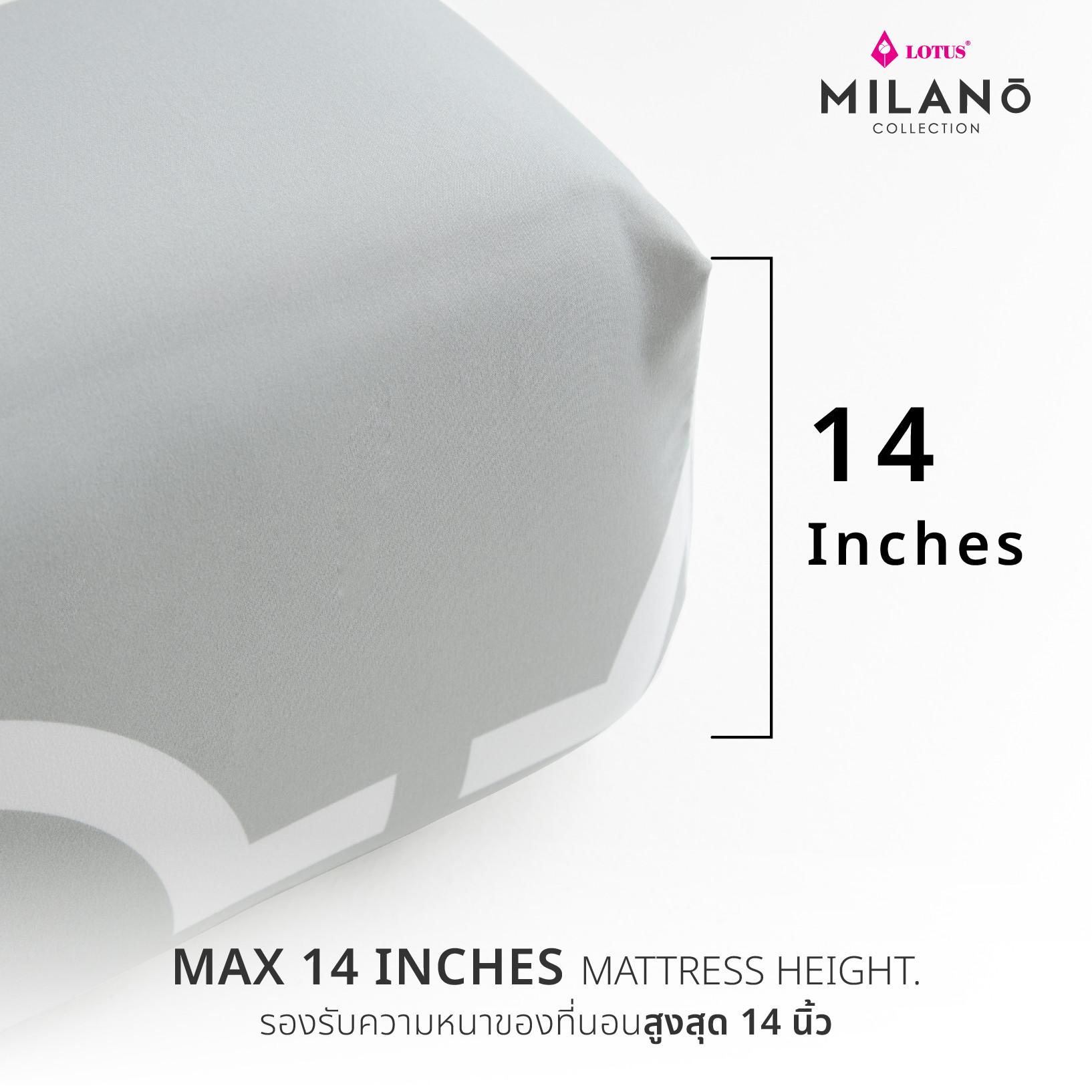 milano-icetech-info-10