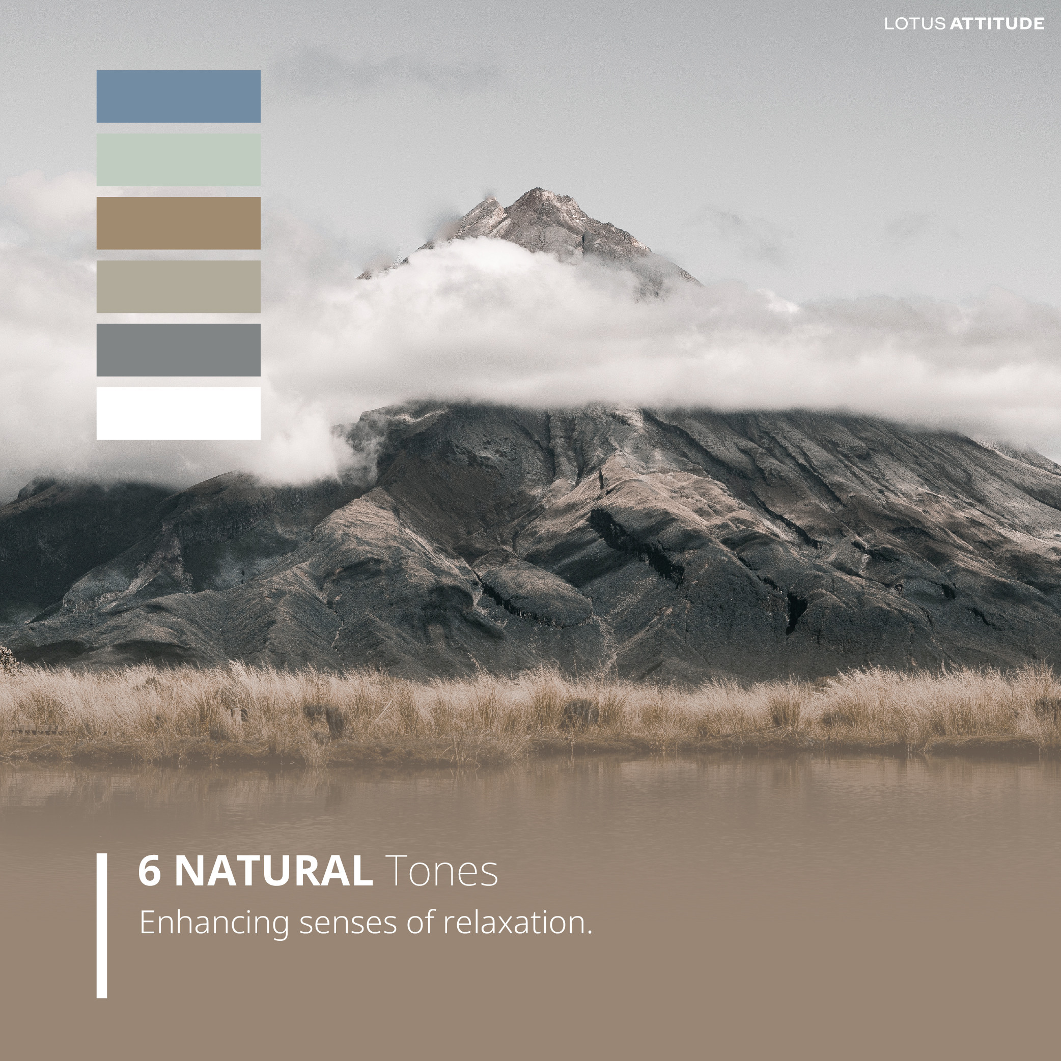 09-2024-info-norden-eng-info-colortones
